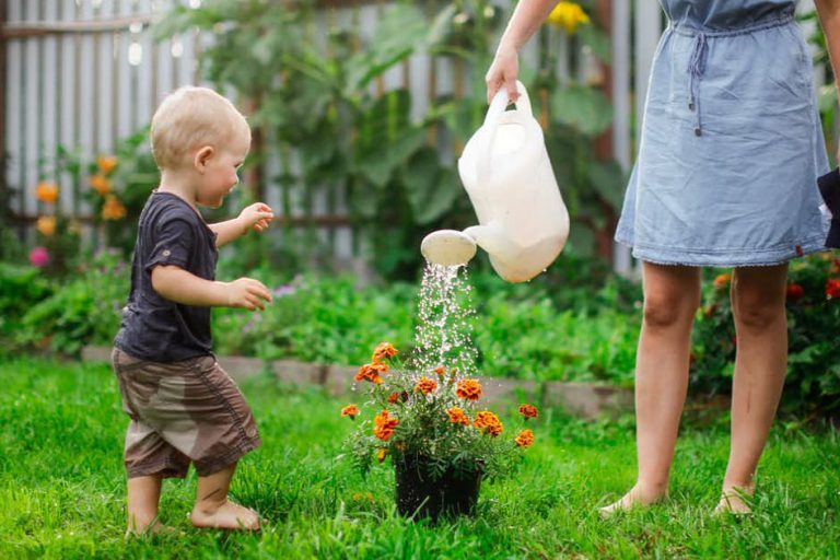 birthdays,-holidays,-christmas-without-mum-or-dad:-how-to-support-kids-with-a-parent-away-fighting-fires